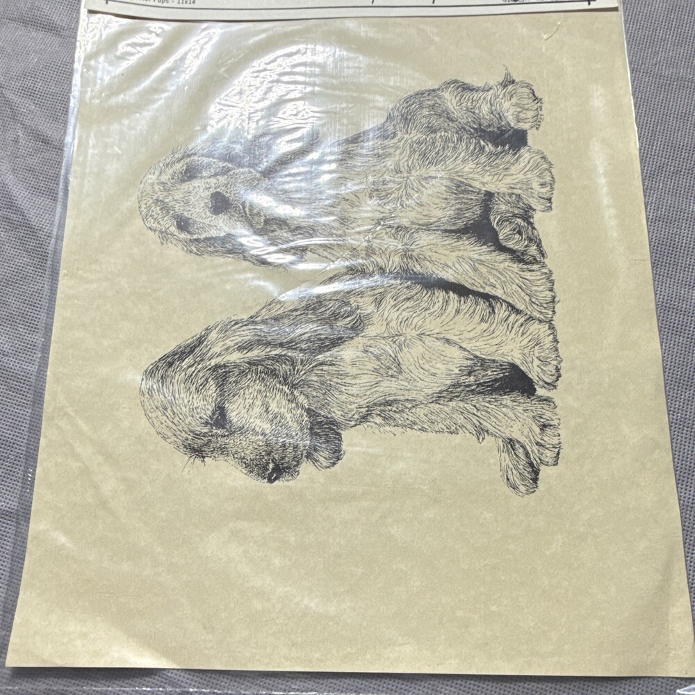 Barry Nehr Signed “Spaniel Pups” Dog Print 11x14 Unframed Landscape